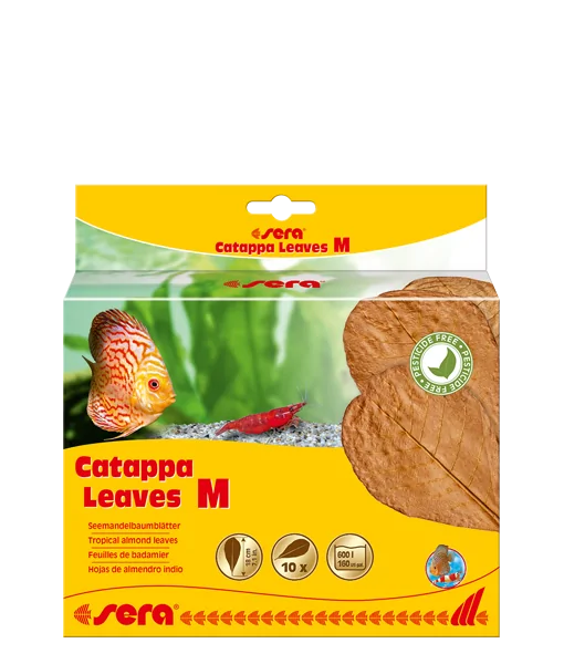 Sera Catappa Yaprağı M 18 cm 10 Adet