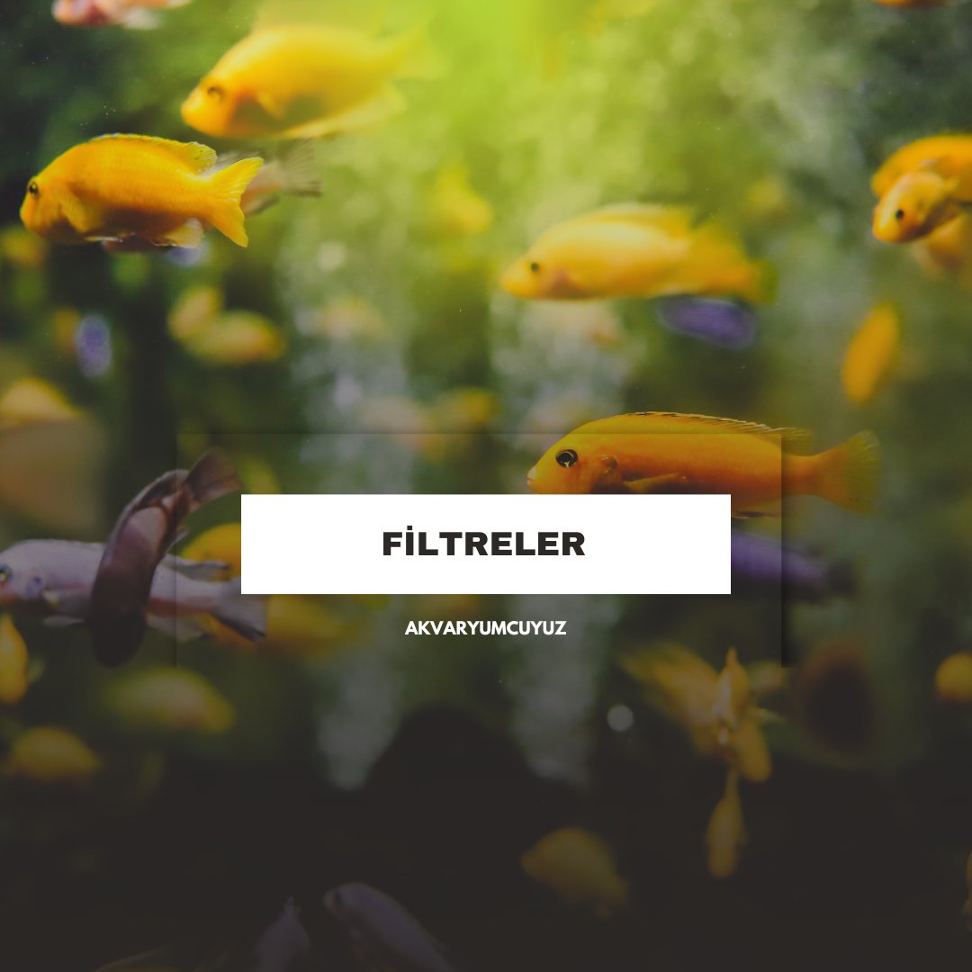 Filtreler