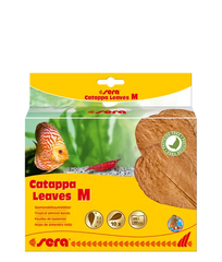 Sera Catappa Yaprağı M 18 cm 10 Adet
