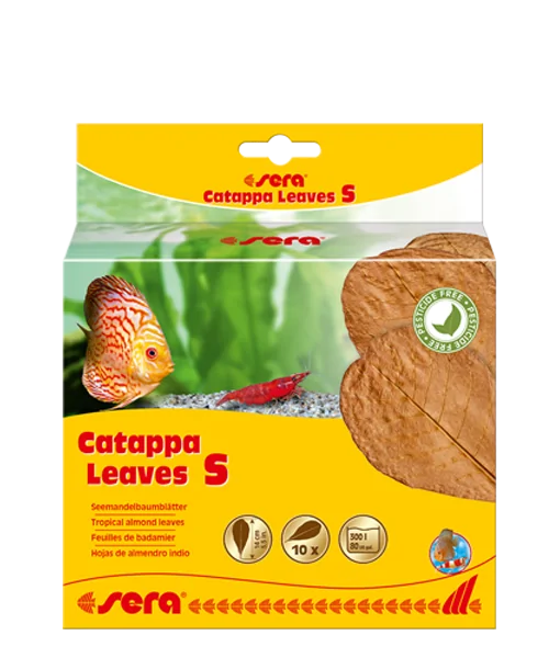 Sera Catappa Yaprağı S 14 cm 10 Adet