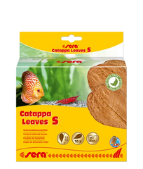 Sera Catappa Yaprağı S 14 cm 10 Adet